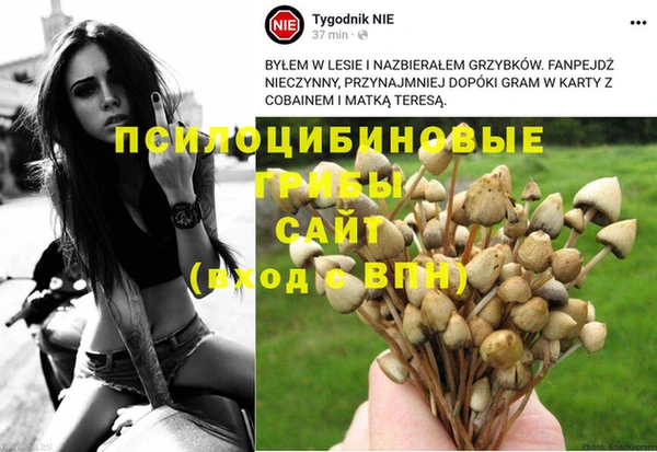 сатива Медногорск