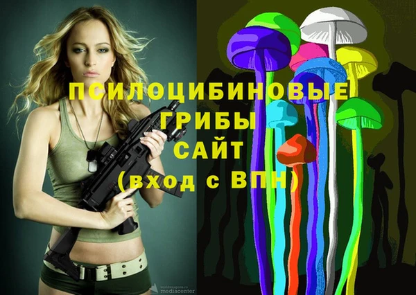 стаф Майский