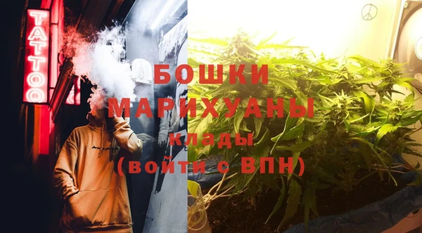 сатива Медногорск