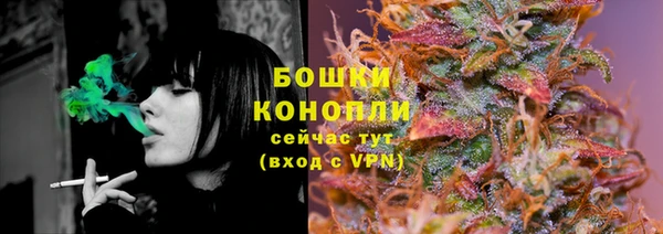 стаф Майский