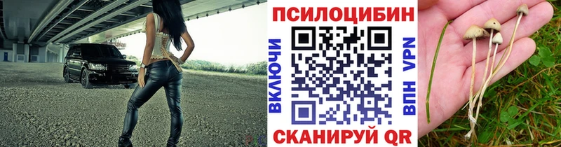 Купить закладки  Ижевск  Псилоцибиновые грибы MAGIC MUSHROOMS 